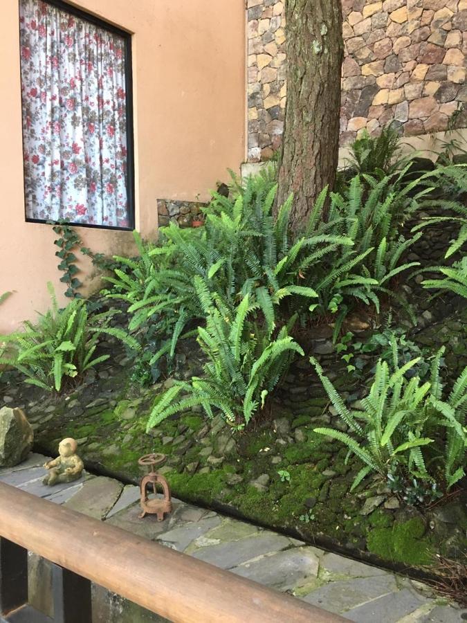 Mi Casa De Valle Valle de Bravo Exterior foto